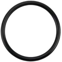 Junta tórica (o-ring) 3.0 x 34