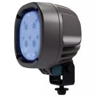 FAROL LED ÁVICOLA BLUEBIRD 1010 TYRI