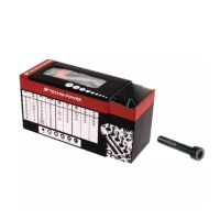 PARAFUSO CABEÇA CILÍNDRICA SEXTAVADO INTERIOR 14X100 AÇO BRUTO 12.9 CAIXA DE 5