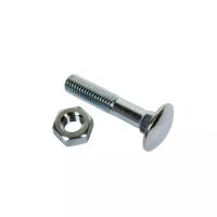 PARAFUSO CABEÇA ABAULADA 10X40 GALVANIZADO 4,8 CAIXA DE 50
