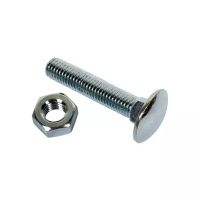 PARAFUSO CABEÇA REDONDA PESCOÇO QUADRADO 6X25 GALVANIZADO 4.8 BLISTER DE 10