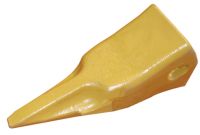 TIGER TOOTH