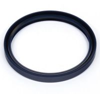 SEAL Perkins 2418F547