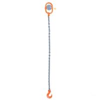 Suspensão de corrente 1-extremidade 1 m 6 mm