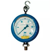 MANÓMETRO ESPECIAL DE CONTROLO DE PULVERIZAÇÃO 0/25 BAR 110 MM M1/4" GÁS