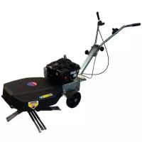 VARREDORA COM ESCOVA ROTATIVA GREENBUSTER HOME 550 KWERN