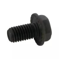 PARAFUSO DE LÂMINA DENTADA 10X45