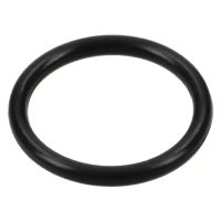 O-RING DA ENGRENAGEM ANGULAR NM