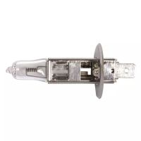 LÂMPADA H1 STANDARD 12V 55 W