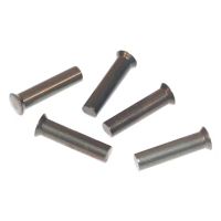 Rebites embalagem de 0,5 kg 5,25x16