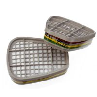Filtro de combustível, 6000 ABEK1 (2P)