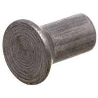 Rebites 0,5 kg embalagem 6x18