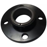 PLACA DE SUPORTE SIP393515350