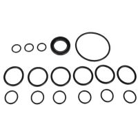 Conjunto de peças de substituição para bombas Bertolini