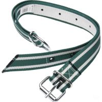 Colar 130x4 cm verde e branco Standard