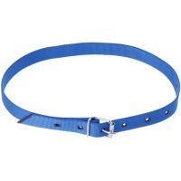 Coleira de marcação, 120 cm, azul