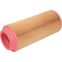 Filtro de Ar Fleetguard AF26391