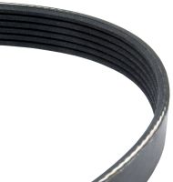Correia 6PK2550