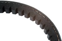 AVX Correia Belt No. X17 x 1215 Lp