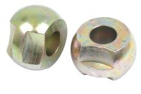 Rotula (Cat. 1/1)
