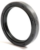 Retentor 55 x 70 x 10mm Lábio duplo