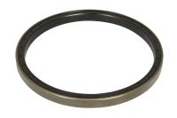 Retentor 190 x 215 x 15.5mm