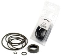 Kit vedantes de bomba de direcção