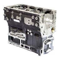 SHORT ENGINE Perkins RG40024