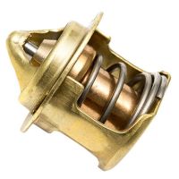 Termostato Perkins U45206061