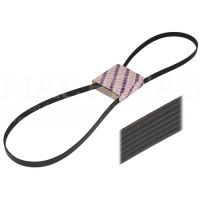 RIBBED BELT 4 PK x 1067