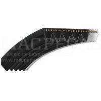 RIBBED BELT 8 PK x 2505
