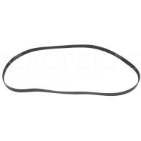 RIBBED BELT 8 PK x 2205