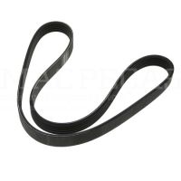 RIBBED BELT 5 PK x 924