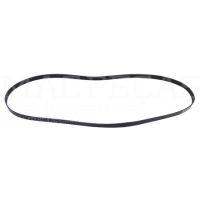 RIBBED BELT 8 PK x 2500