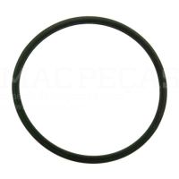 THERMOSTAT SEAL