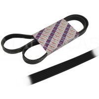 RIBBED BELT 6 PK x 1365