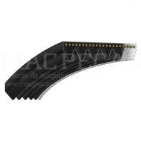 RIBBED BELT 10 PK x 2562