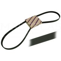RIBBED BELT 8 PK x 2475