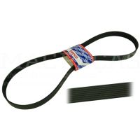 RIBBED BELT 8 PK x 1700