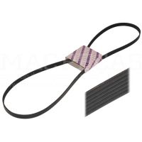 RIBBED BELT 4 PK x 1168