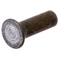 Rebites 0,5 kg embalagem 5x16