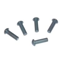 Rebites 0,5 kg embalagem 5x25