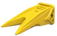 FUTURA TOOTH (TWIN TIGER SHORT) J-450