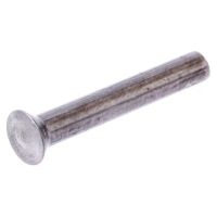 Rebites embalagem de 0,5 kg 6x40