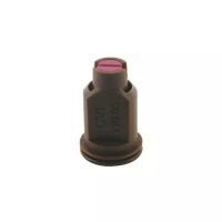 BICO ALBUZ CVI 110 05 CASTANHO UNIDADE