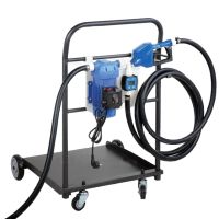FuelWorks - AdBlue Kit movel Bomba transfega, automatica Nozzle Fornecido com Flow Meter 230V, (Euro Plug)