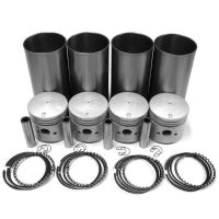"PISTON,RING & LINER KIT "