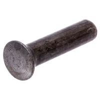 Rebites, embalagem de 0,5 kg, 6x26