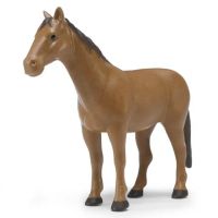 Cavalo, castanho