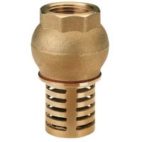Válvula de pé antirretorno com conexão de 100 mm (4”)